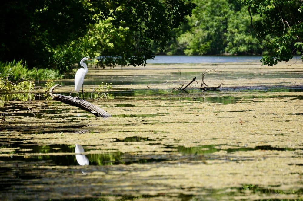 Construction to begin on new Buda park with swimming hole, trails