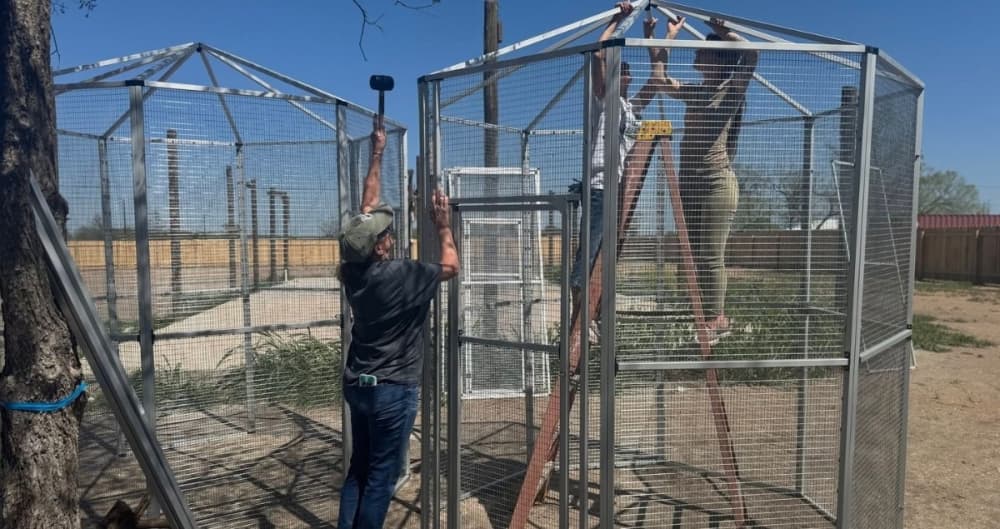 Learn how to help Bastrop wildlife rescuers build a haven