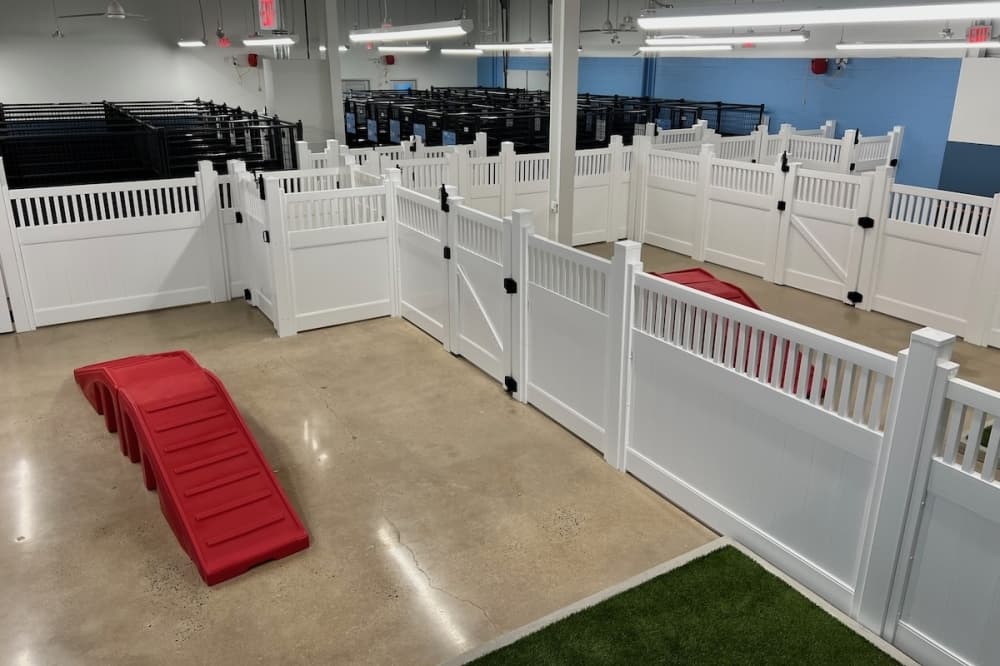 Camp Bow Wow to open New Braunfels location