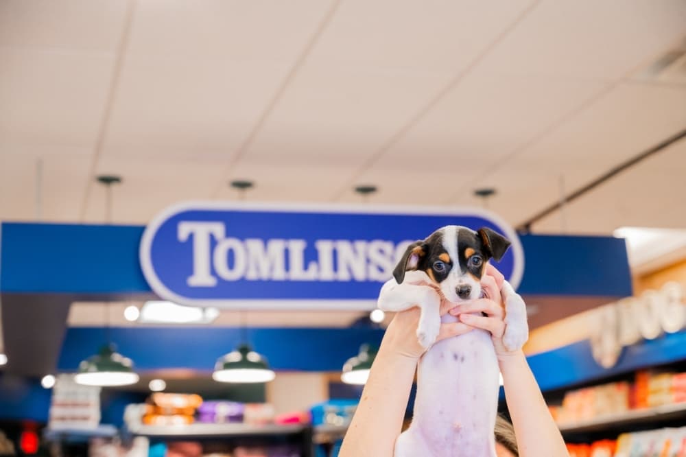 Tomlinson's Feed coming soon to Pflugerville