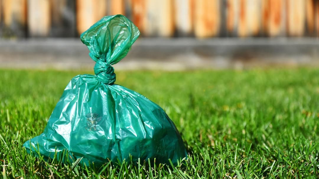 Tied green dog waste bag sitting on grass with a wooden fence blurred in the background.