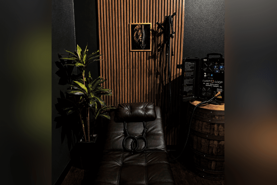 Dimly lit therapy room with leather table, magnetic therapy device on barrel, plant, and lion-spine wall art.