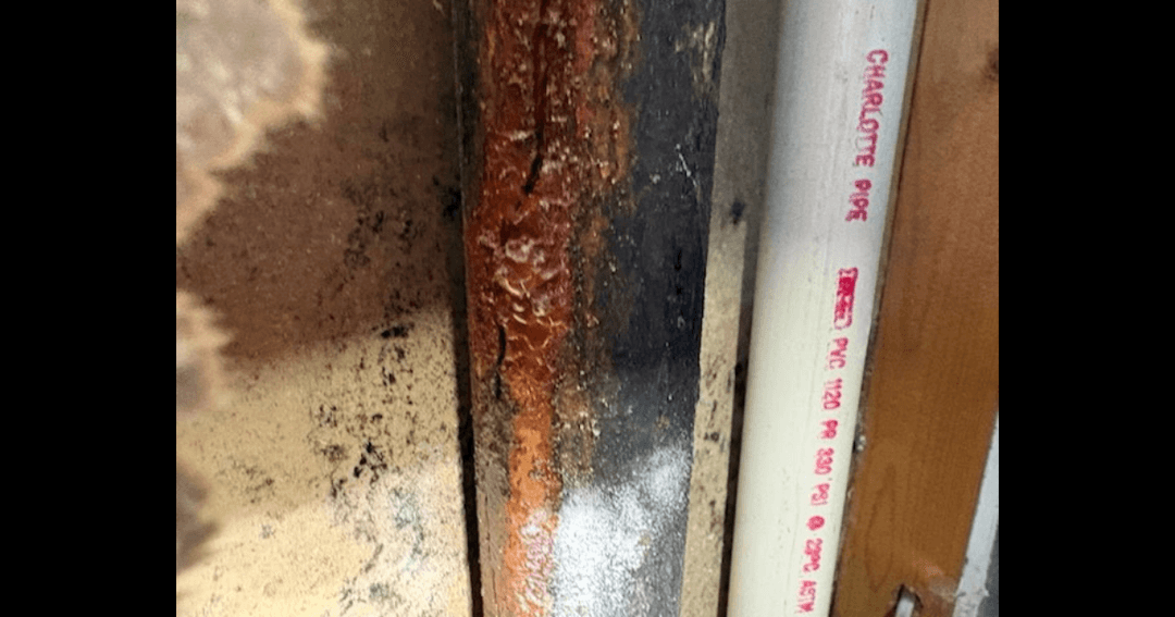 Rusted, corroded metal pipe beside a white PVC pipe labeled "Charlotte Pipe" on a mold-stained wall.