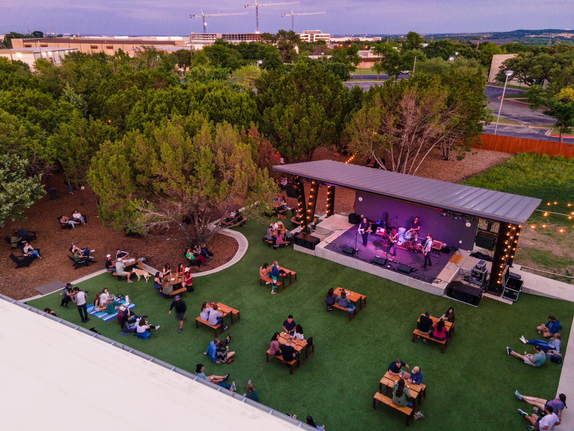 From bats to books: 9 events to explore in Austin in September and early October