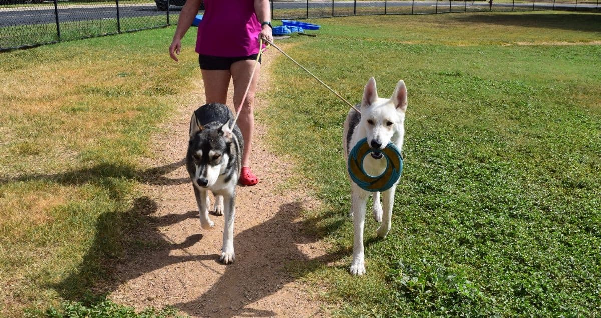 Bastrop dogs to fetch new Bark Park perks