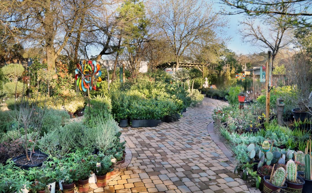 Brick pathway winding through a garden nursery with potted plants, cacti, and colorful metal wind spinners.