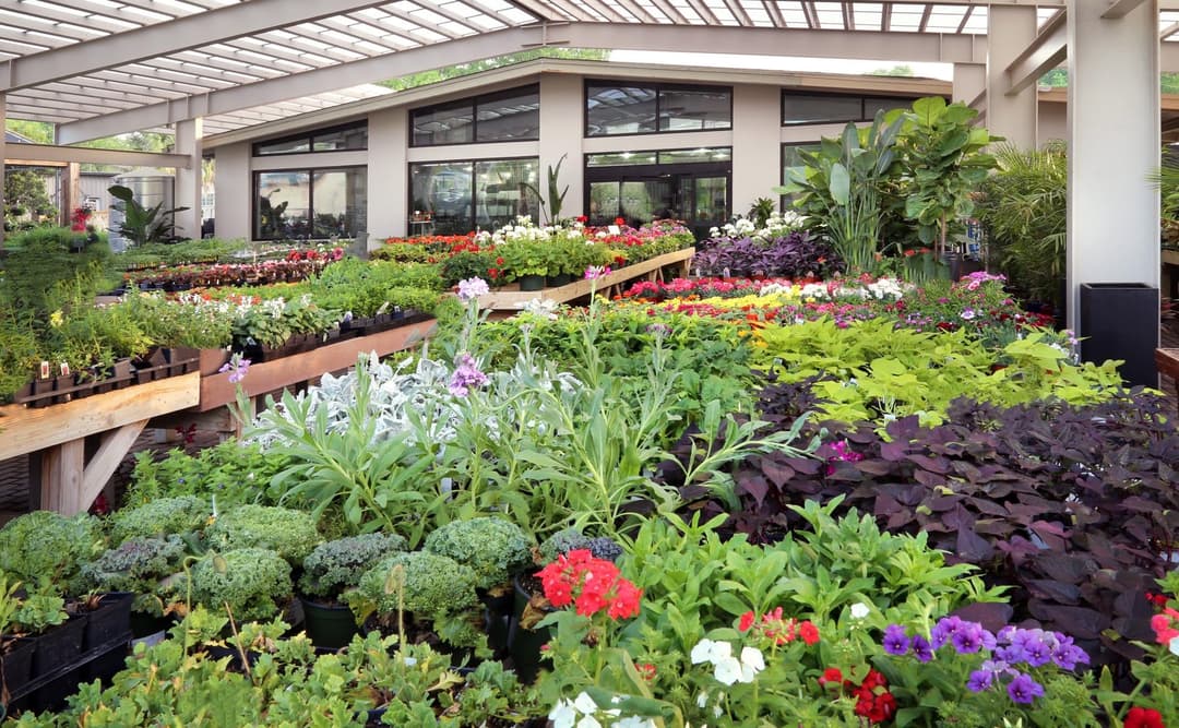 Garden center displaying colorful potted flowers and plants on wooden tables under a covered outdoor area.