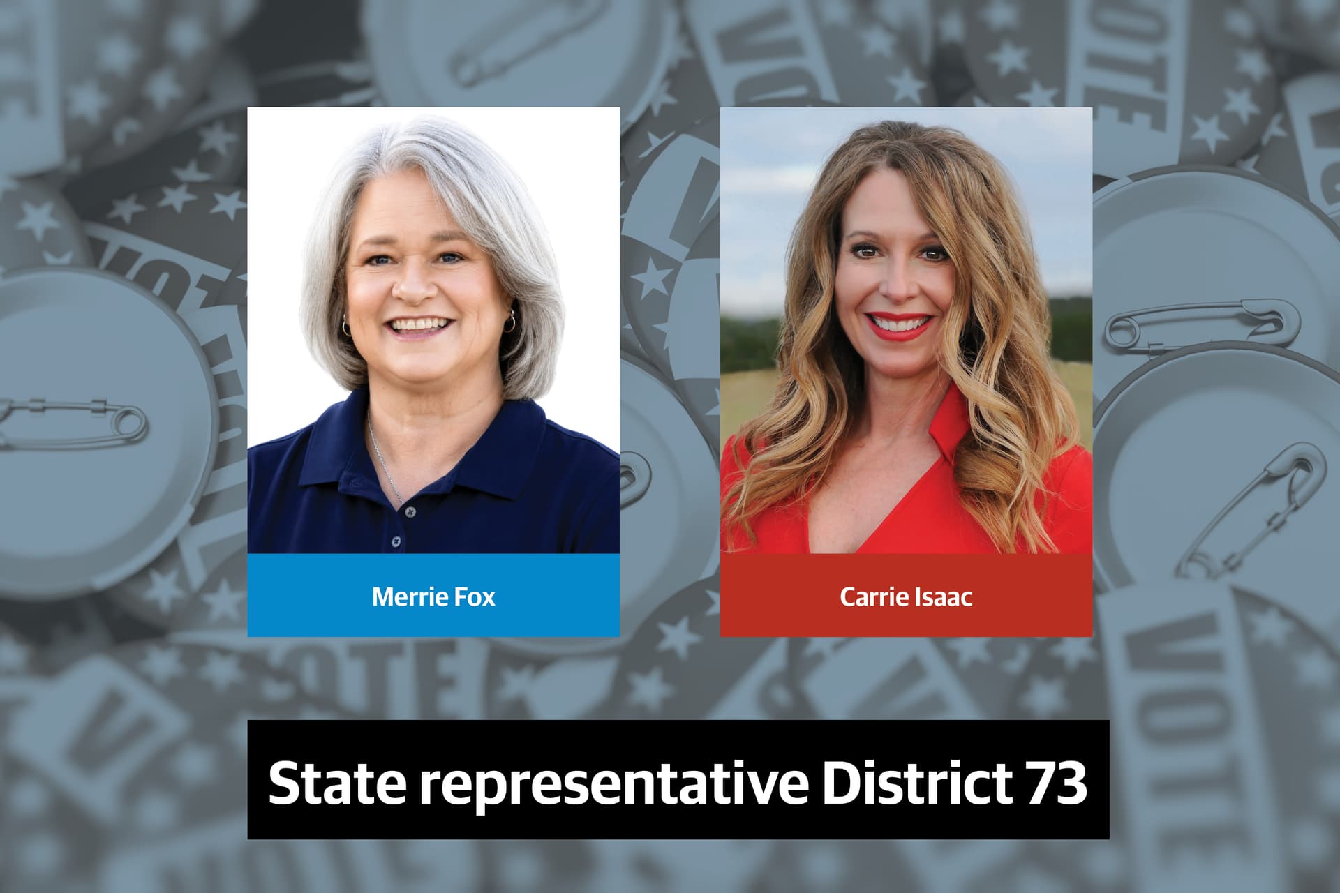 Q&A: Meet the candidates for State Representative District 73