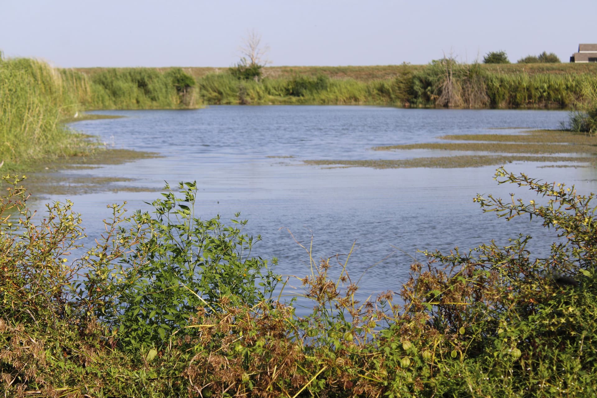Texas State to improve Lake Kyle water quality with floating wetlands
