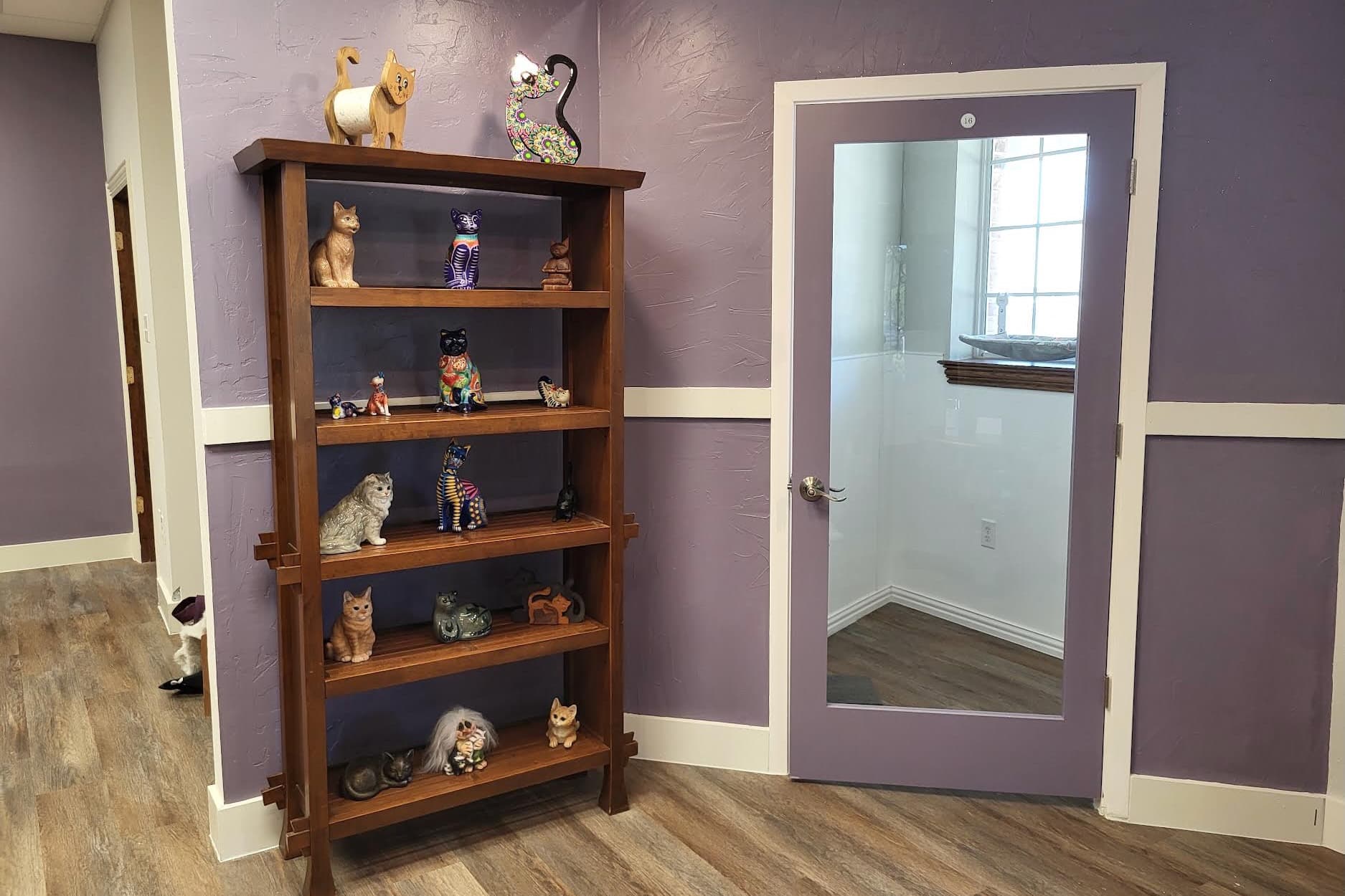 The Purrrfect Lounge offers cat boarding at new McKinney facility