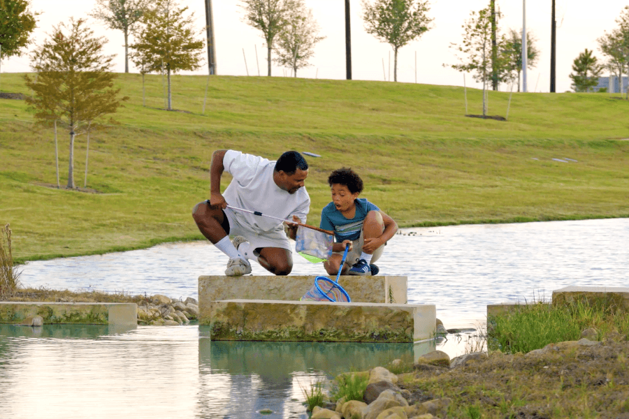 A man and boy crouch on stone blocks by a pond, using nets to explore the water at a park.