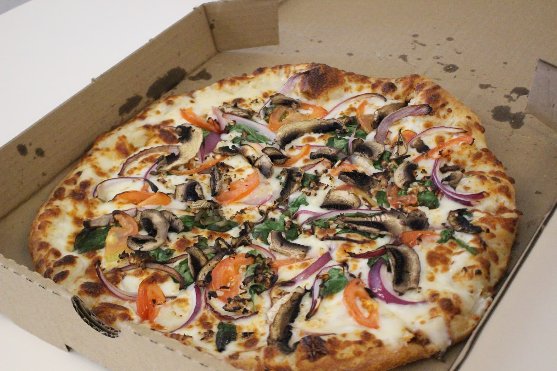 Bite Pizza Co. celebrates 1st anniversary of serving Sugar Land