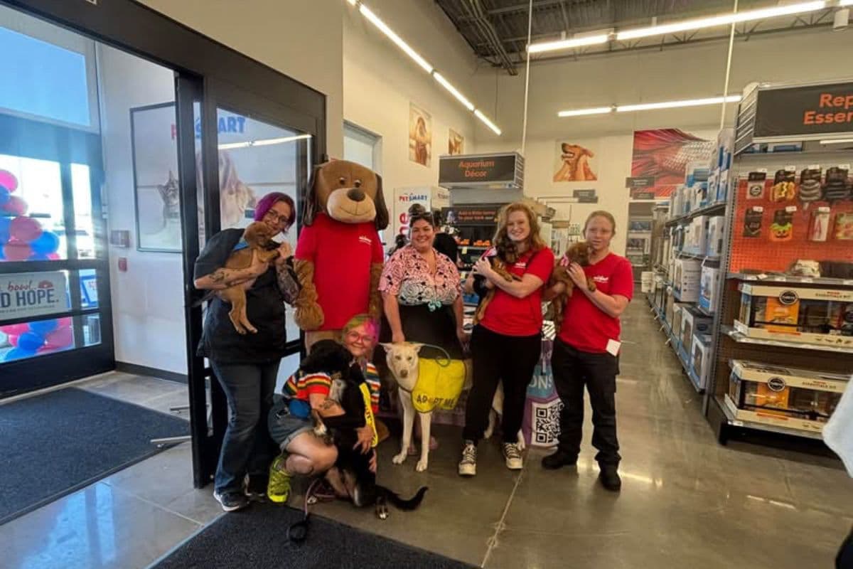 New Petsmart location in Willis now open