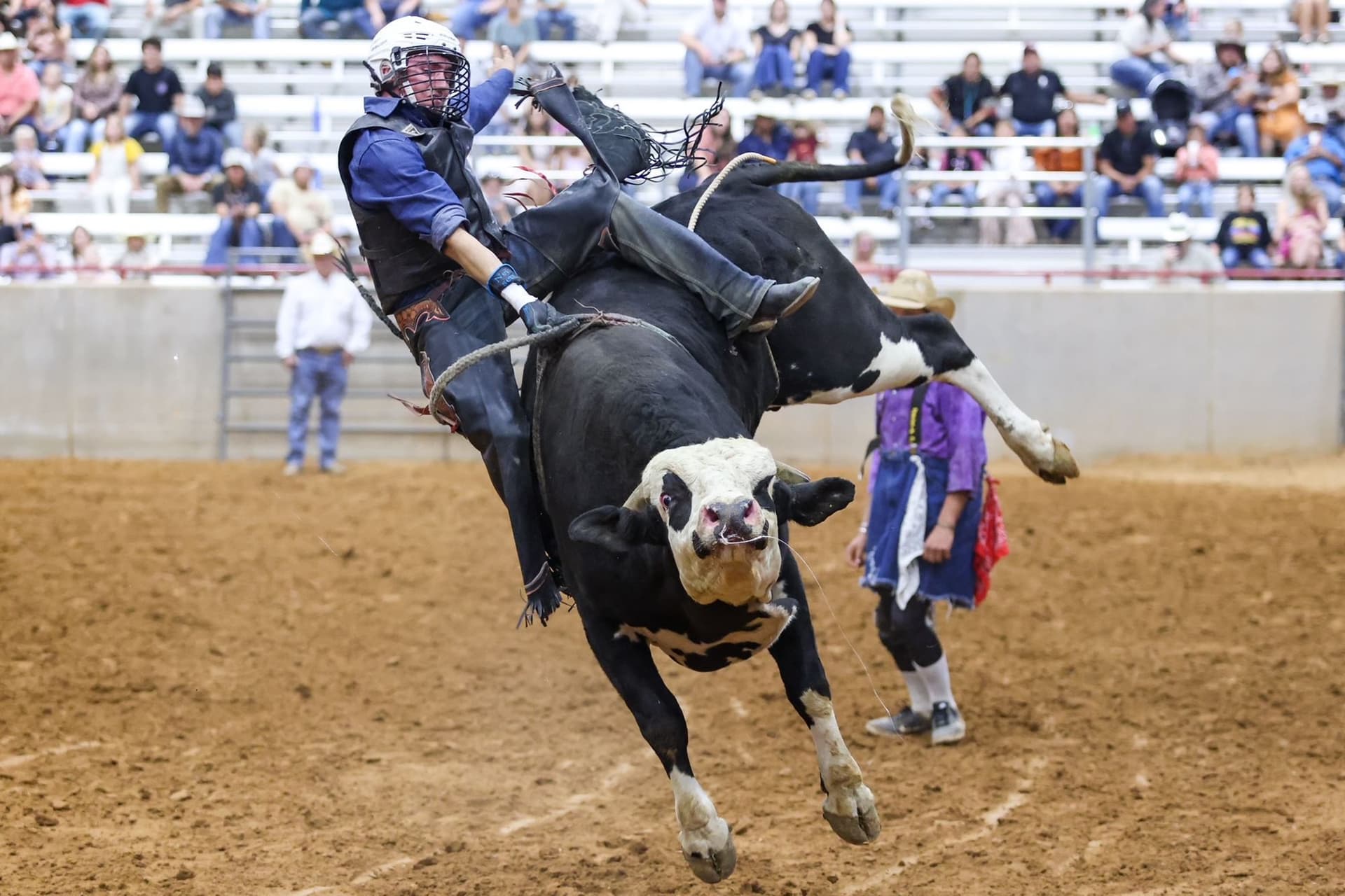 Brazos Valley Fair & Rodeo marks 15 years of growth