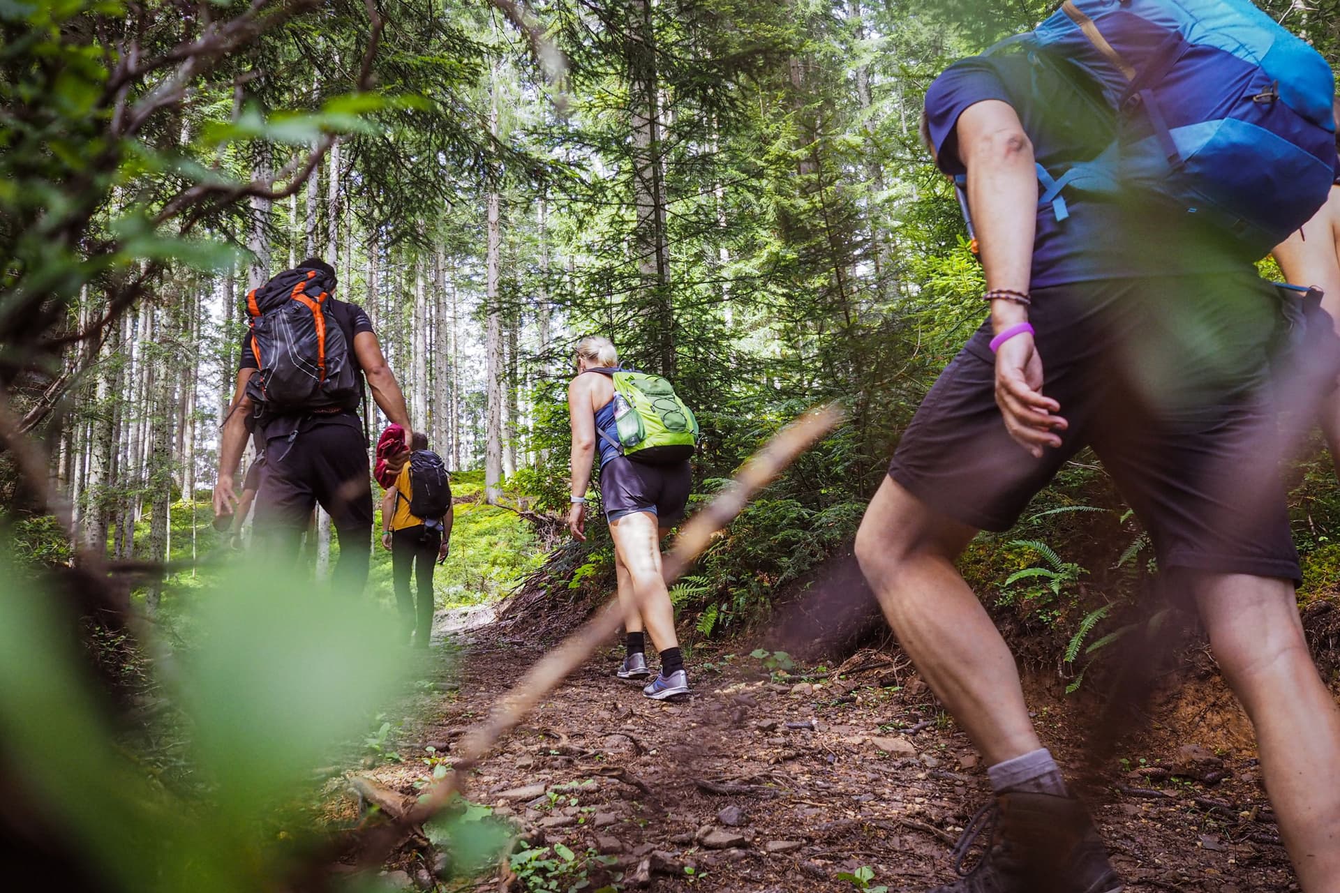 Hit the trails in Bastrop for veterans’ mental health