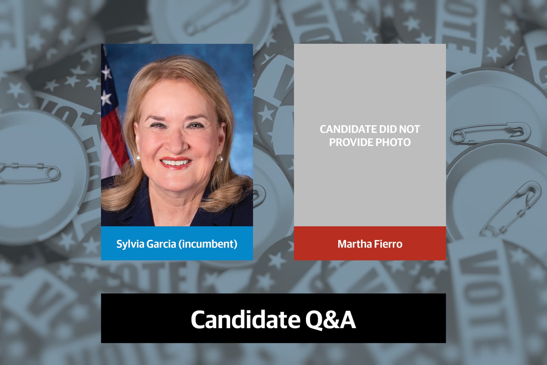 Q&A: Meet the candidates running for Congressional District 29