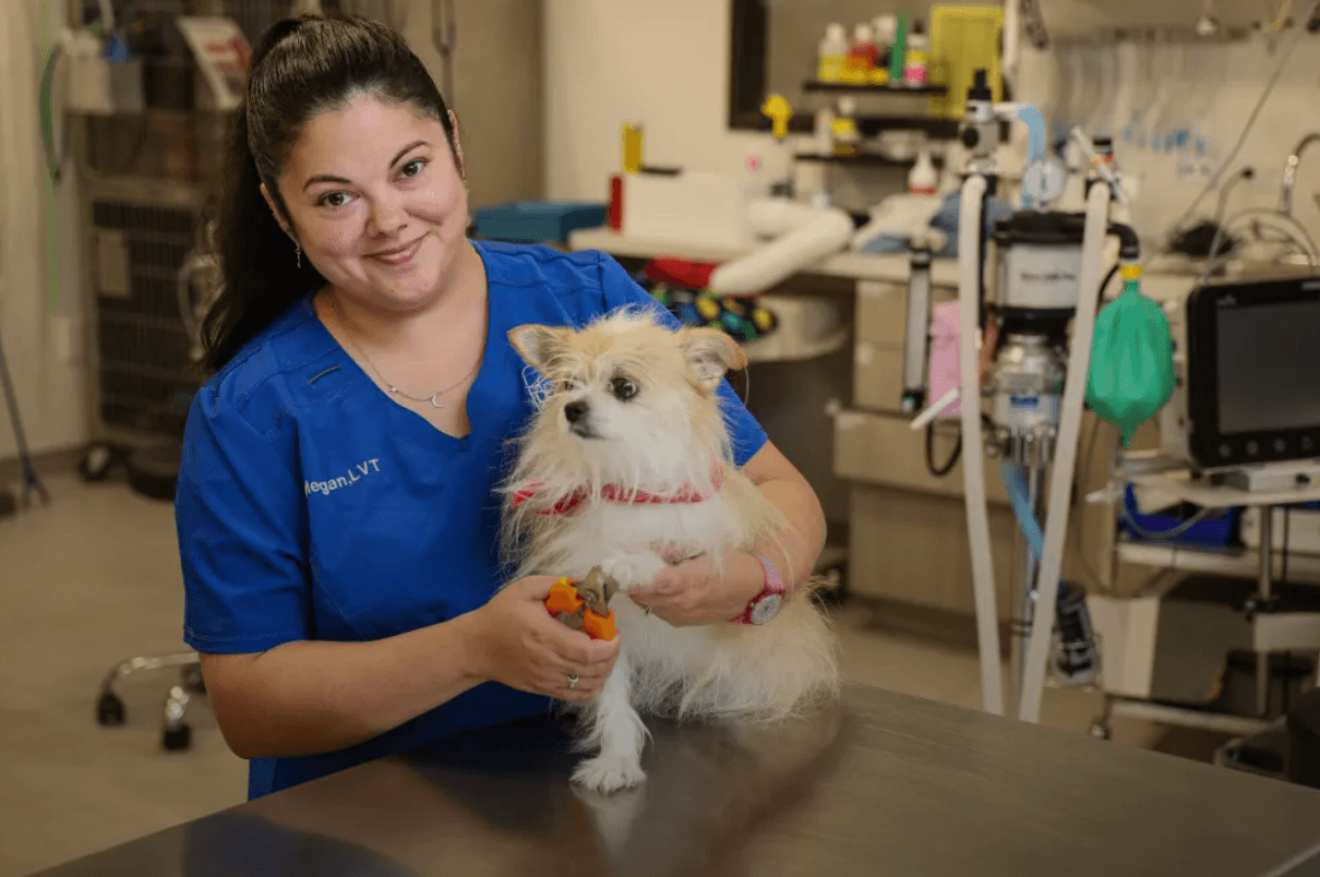 Leander Veterinary Clinic details why private ownership leads to better patient care