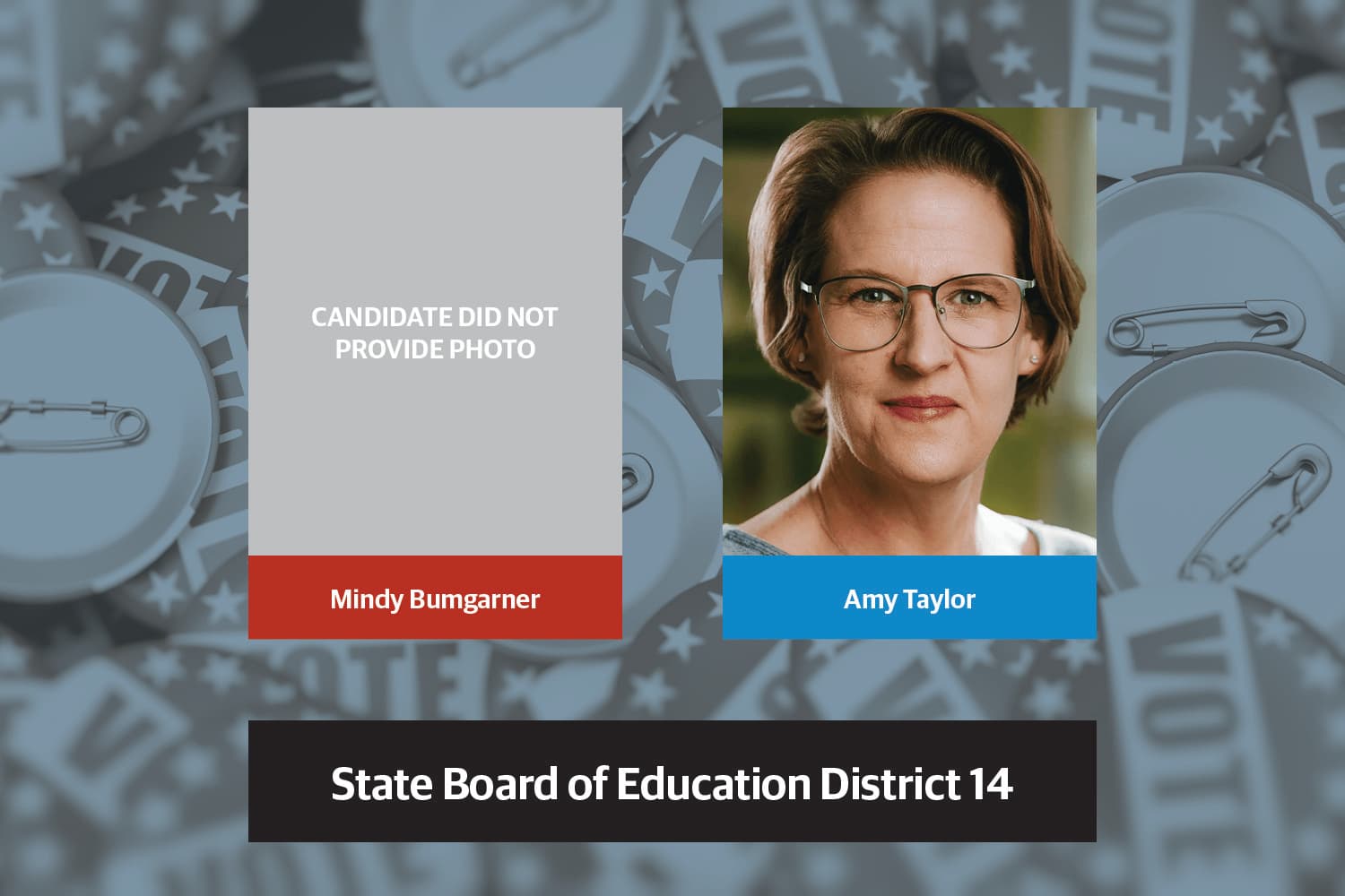 Q&A: Meet the Candidates running for the State Board of Education, District 14 seat
