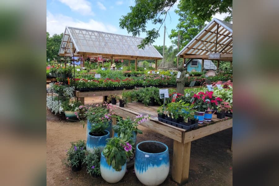 Outdoor garden nursery with potted plants, flowers, and blue ceramic planters under open-roof greenhouse structures.