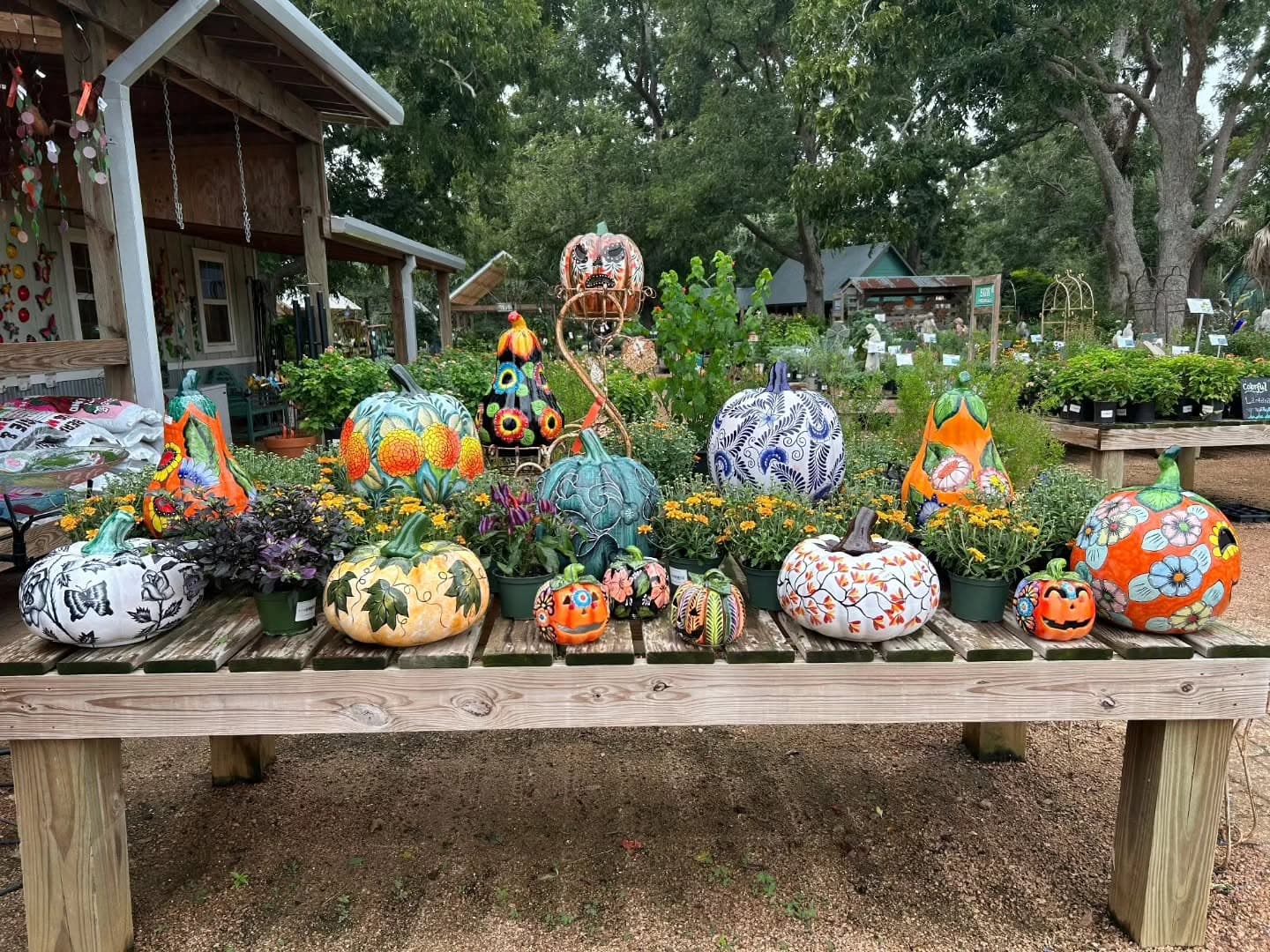 Fall is for planting: Enchanted Forest shares why gardeners shouldn’t wait until spring