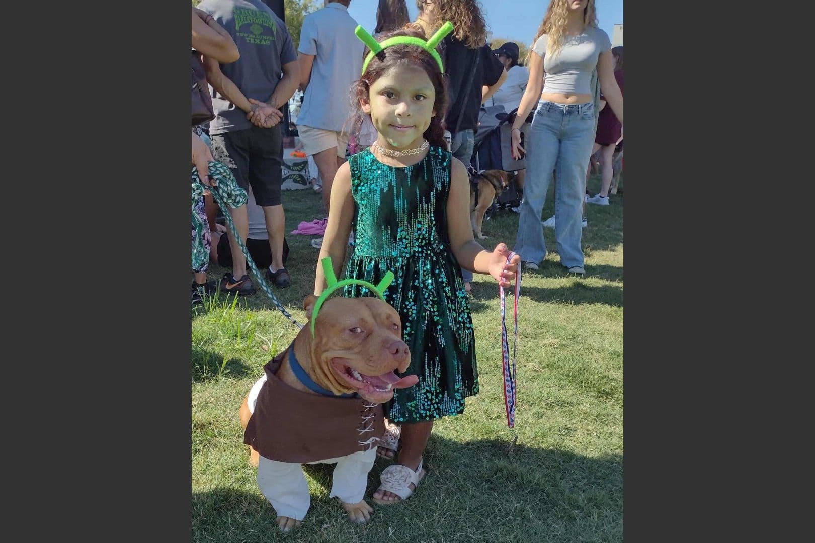 Pet festivals, Veterans Day parades: check out 7 events to attend in Hays County this fall