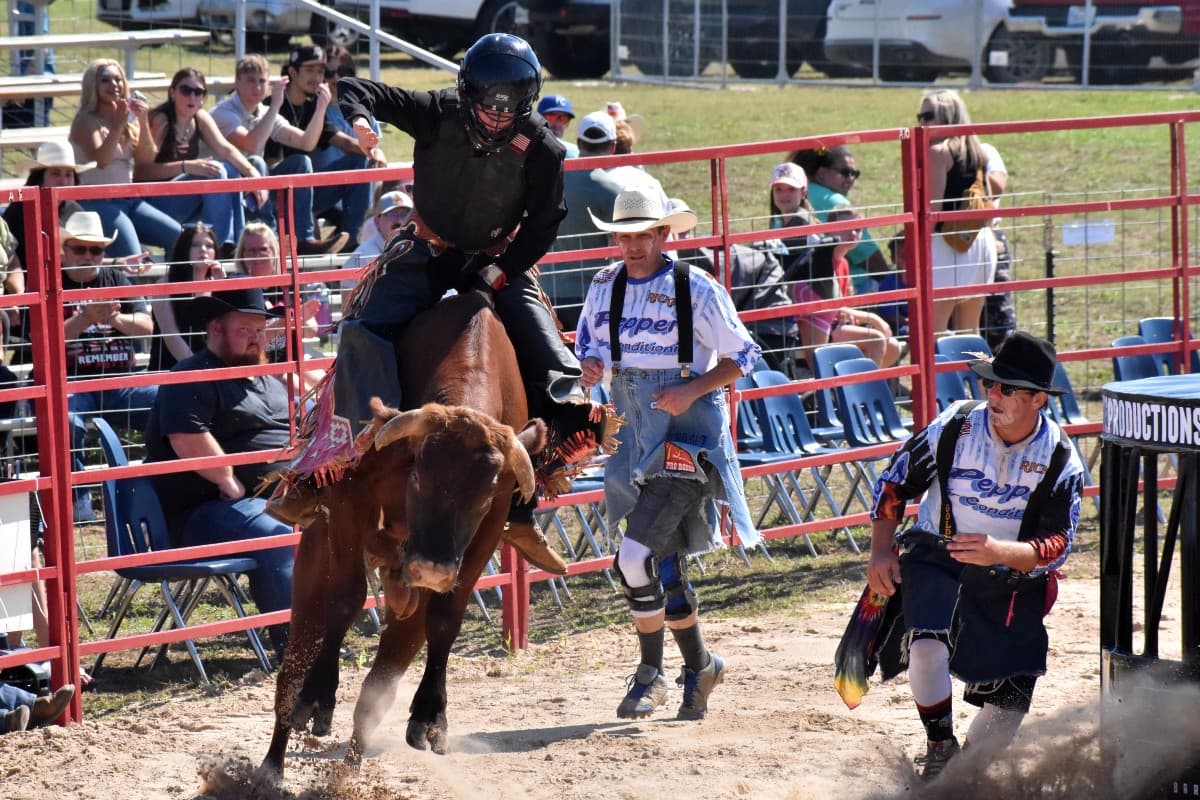 GALLERY: Check out photos from the 29th annual Celebrate Roanoke festival