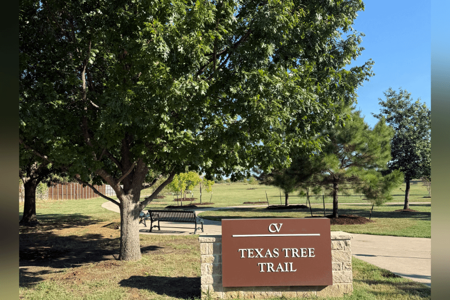 Colleyville's new Texas Tree Trail transforms half-mile loop into living tree museum