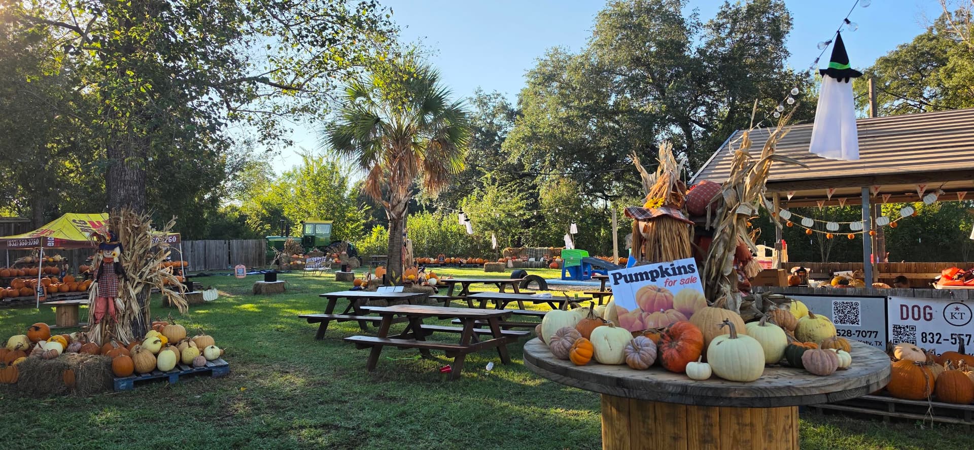 7 pumpkin patches to visit in the Katy area