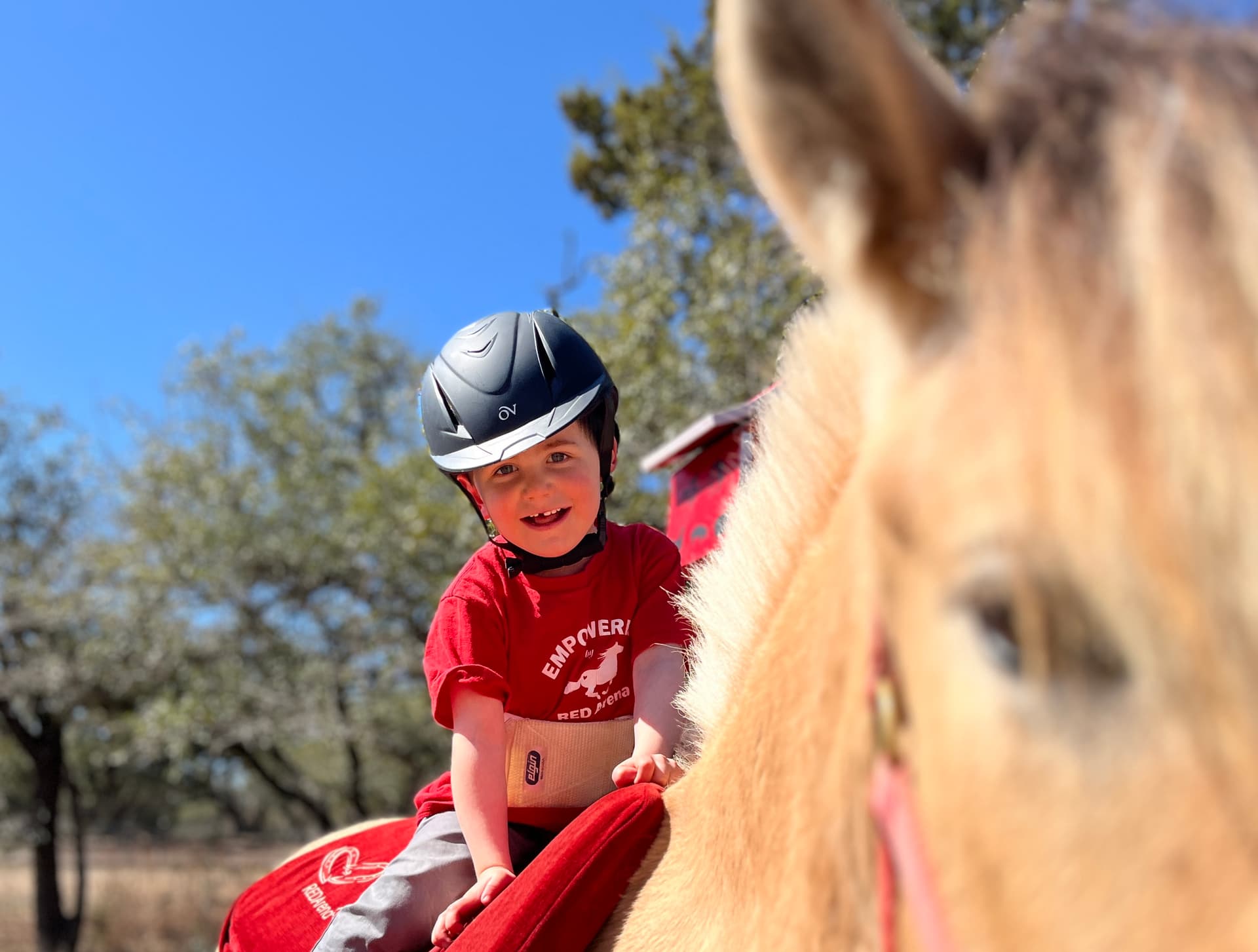 2026 Volunteer Guide: Check out 14 nonprofits in Southwest Austin, Dripping Springs