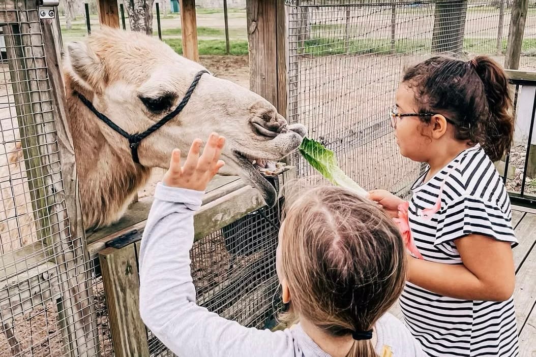 Blessington Farms offers fall family fun in Simonton