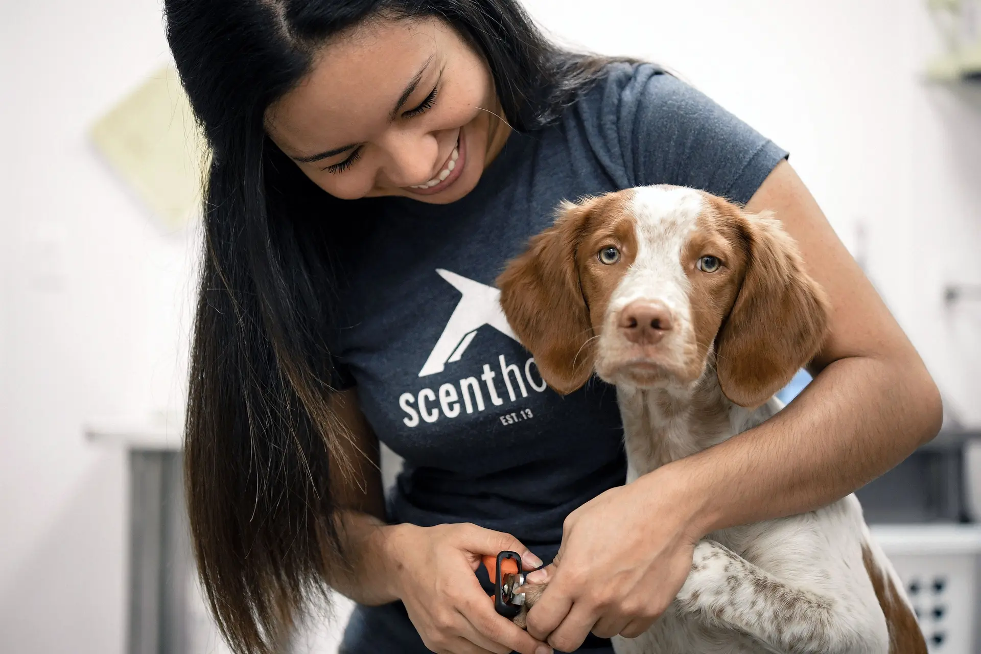 Dog groomer Scenthound to open North Austin location