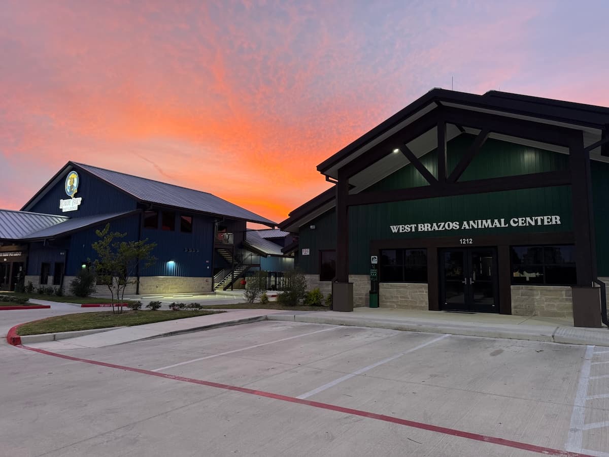 West Brazos Animal Center, Rowdy Paws Pet Lodge put community, pet care first in Bryan-College Station