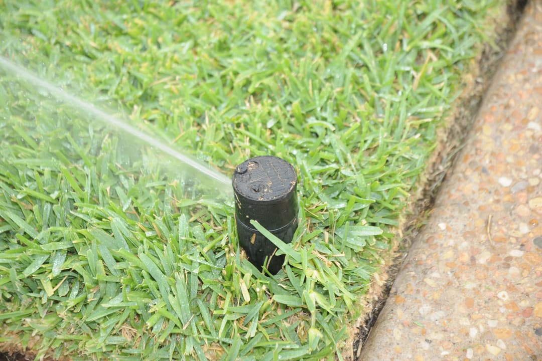 Black pop-up sprinkler head spraying water across green lawn beside a concrete edge.