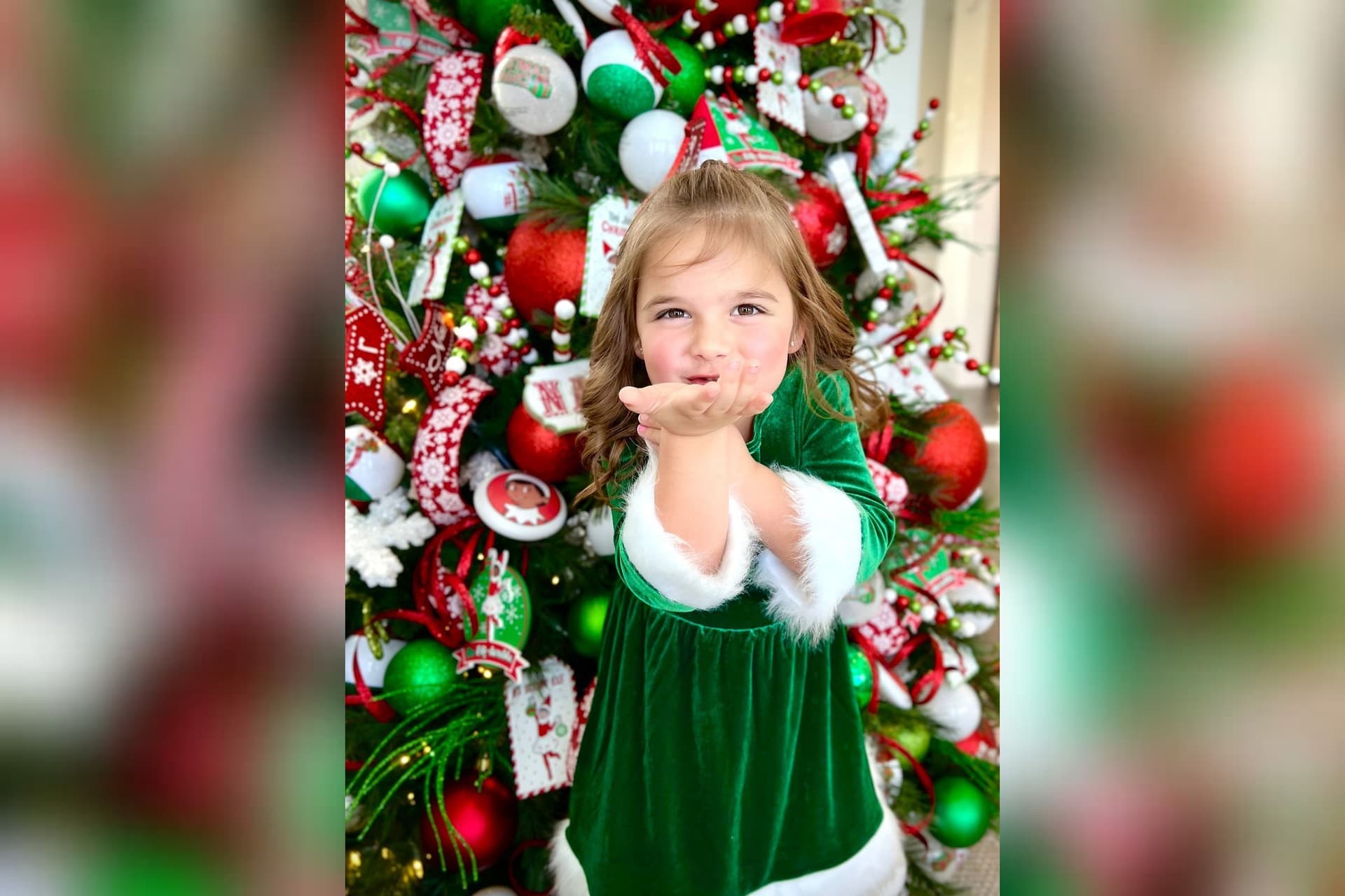 Holiday magic returns to Trinity Falls in McKinney with free annual Tour of Trees