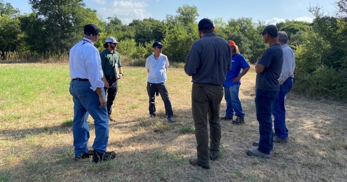New Austin monitoring wells to study aquifers, effects on endangered salamanders