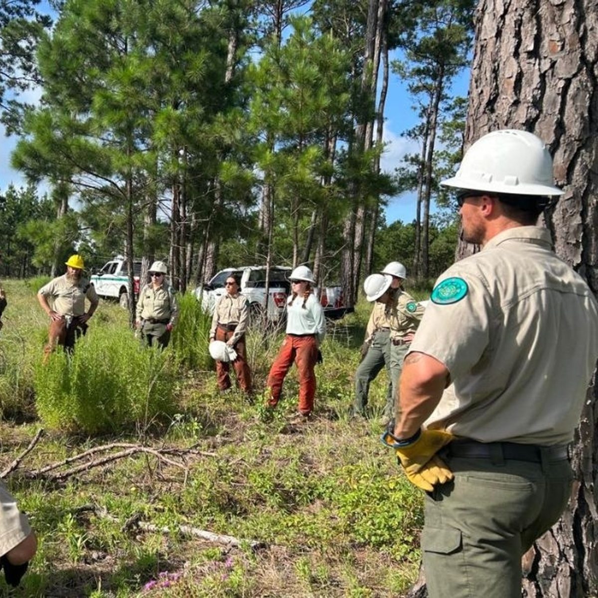Burn ban lifted in unincorporated Bastrop County after nearly 90