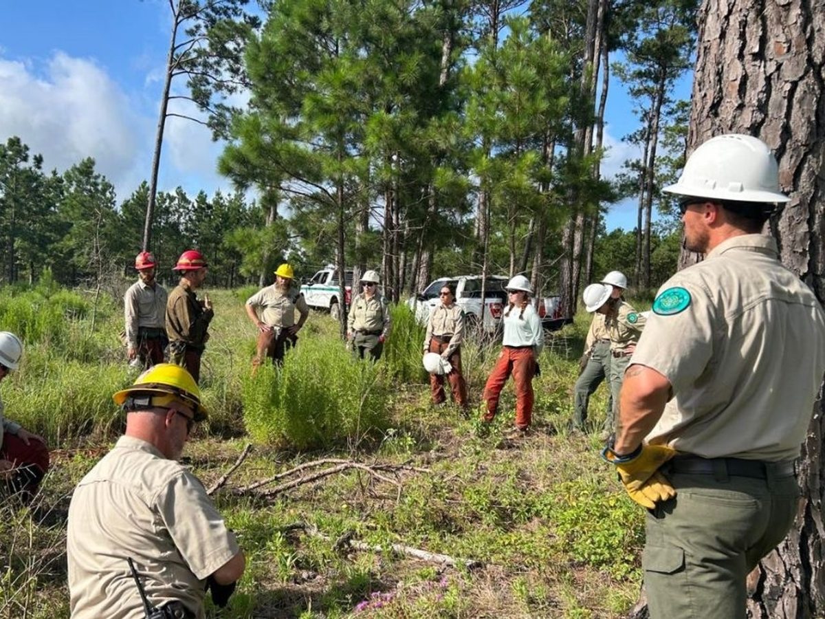 Burn ban lifted in unincorporated Bastrop County after nearly 90
