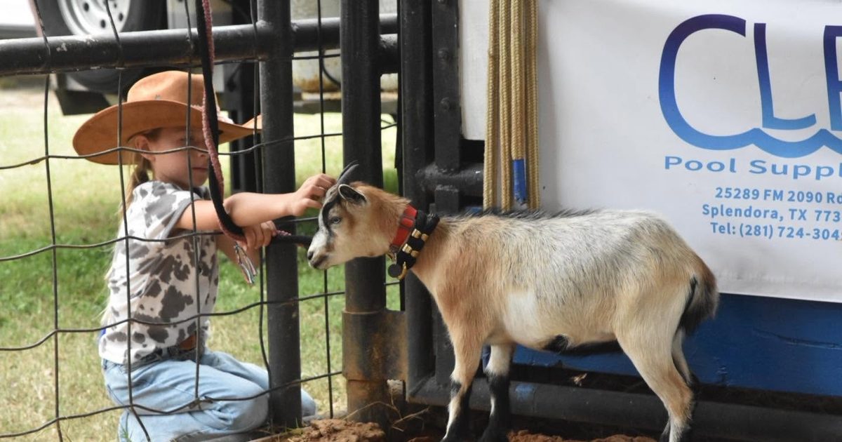 East Montgomery County Fair & Rodeo adds new livestock show category, expands kid's zone