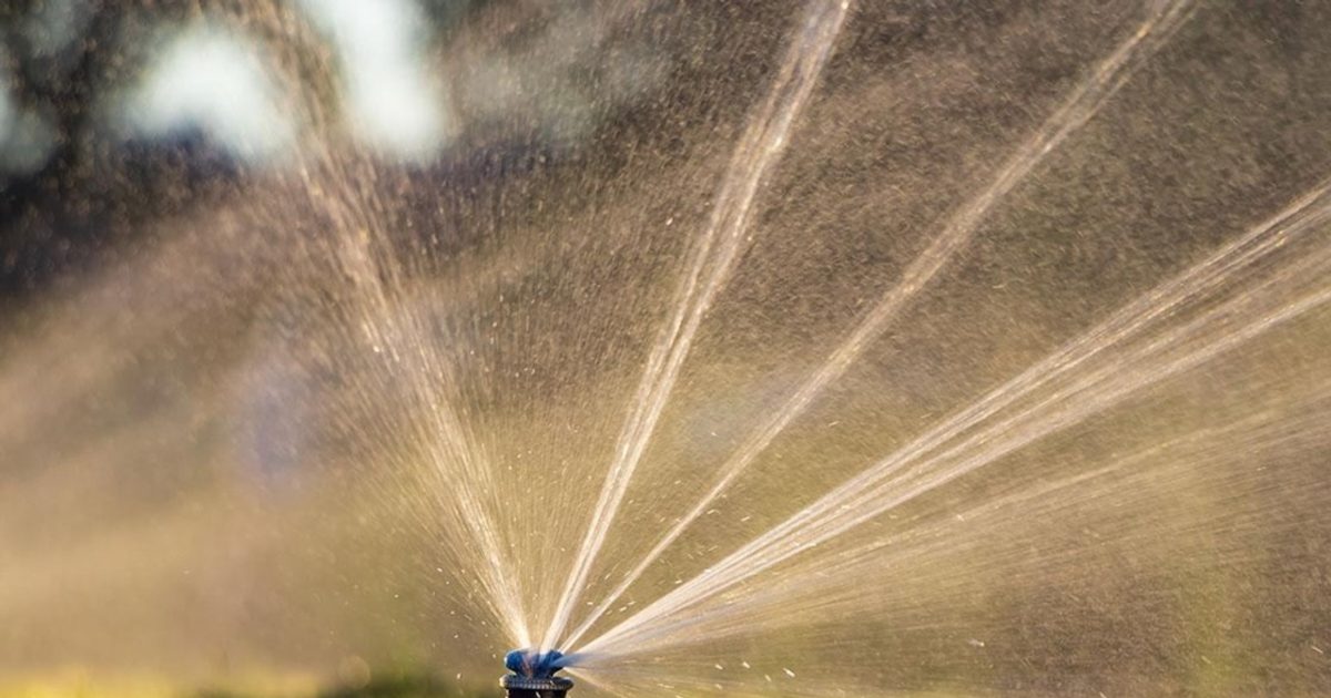 Bryan-College Station encourage water conservation during summer heat