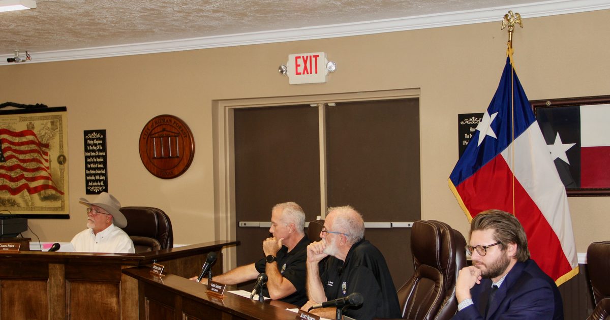 Roman Forest council member proposes changes to city election rules