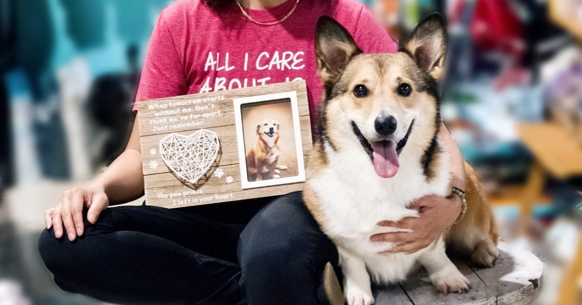 Wishbone Pet Care celebrates 15 years of serving Missouri City pets