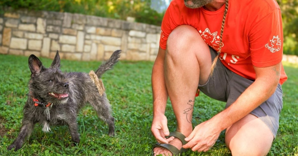 Mitzi's Scoop Crew brings pet waste removal to Lake Travis - Westlake area
