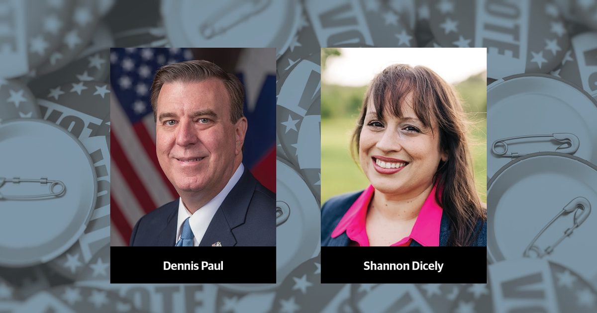 Q&A: Meet the candidates running to represent State Senate, District 11
