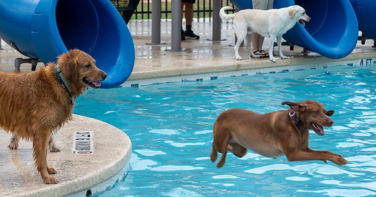 10 Georgetown events to check out this September, October