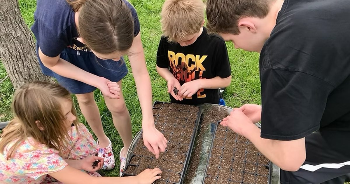 Rhizome Revival grows community through education