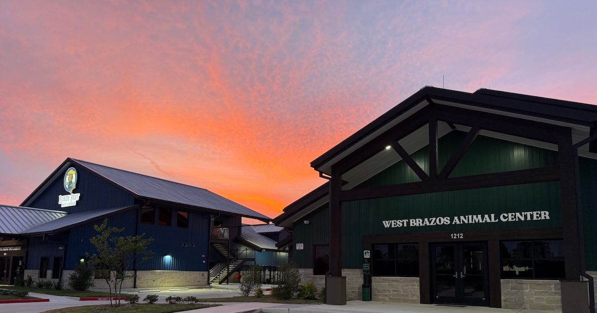 West Brazos Animal Center expands in Bryan-College Station