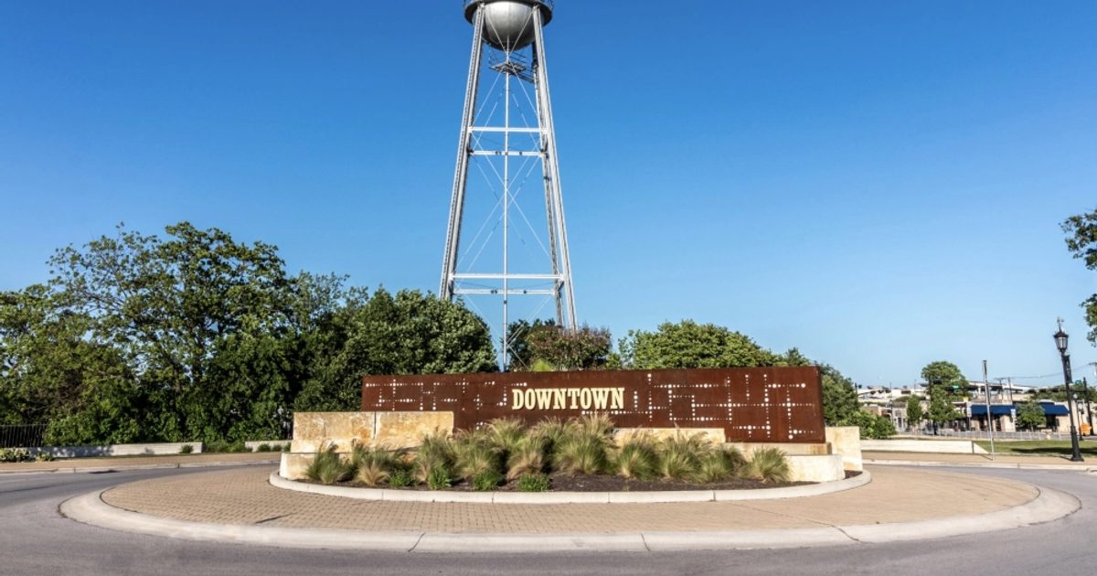 Early voting runs Oct. 19-30: Here's your Round Rock-area sample ballot