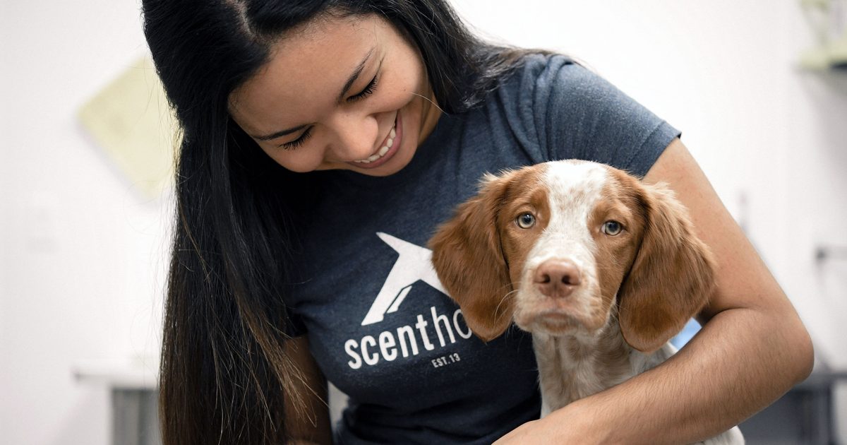 Dog groomer Scenthound to open North Austin location