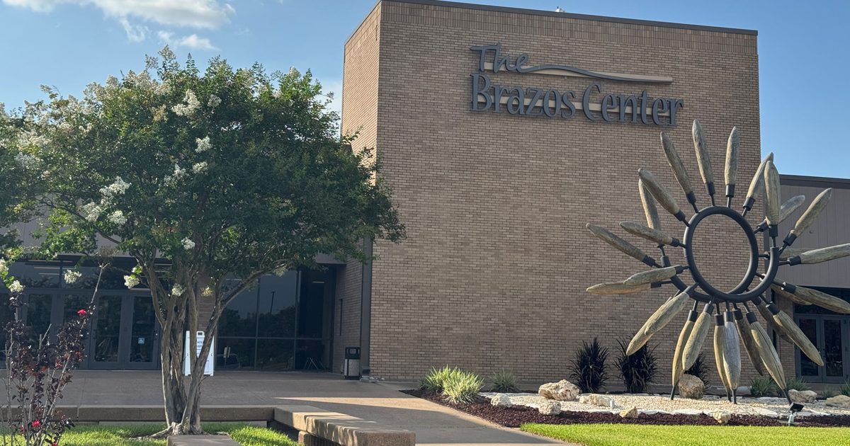 Bryan, College Station city council candidates debate at BCS Chamber forum