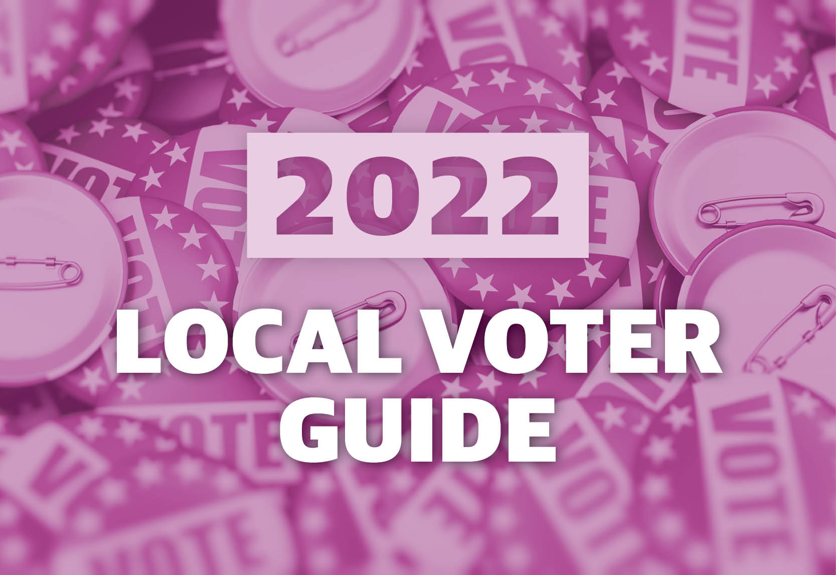 2022 Voter Guide Houston Austin DallasFort Worth San Antonio